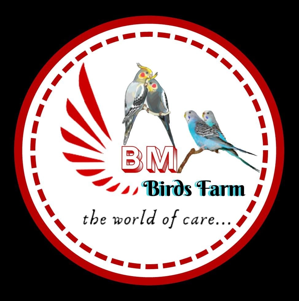 BM BIRDS FARM | Erode