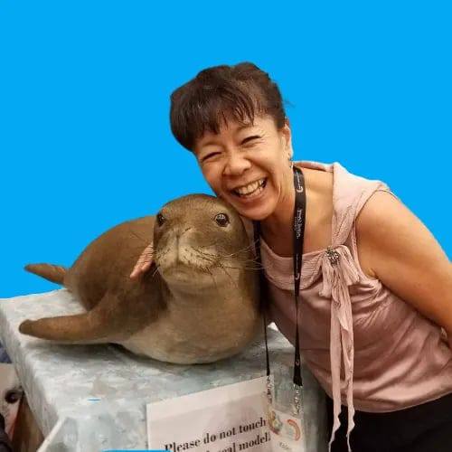 Learn Hawaiian Monk Seal: ハワイのアザラシを学ぶ