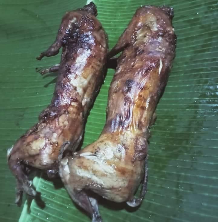Rabbit Libmanan,Bicol