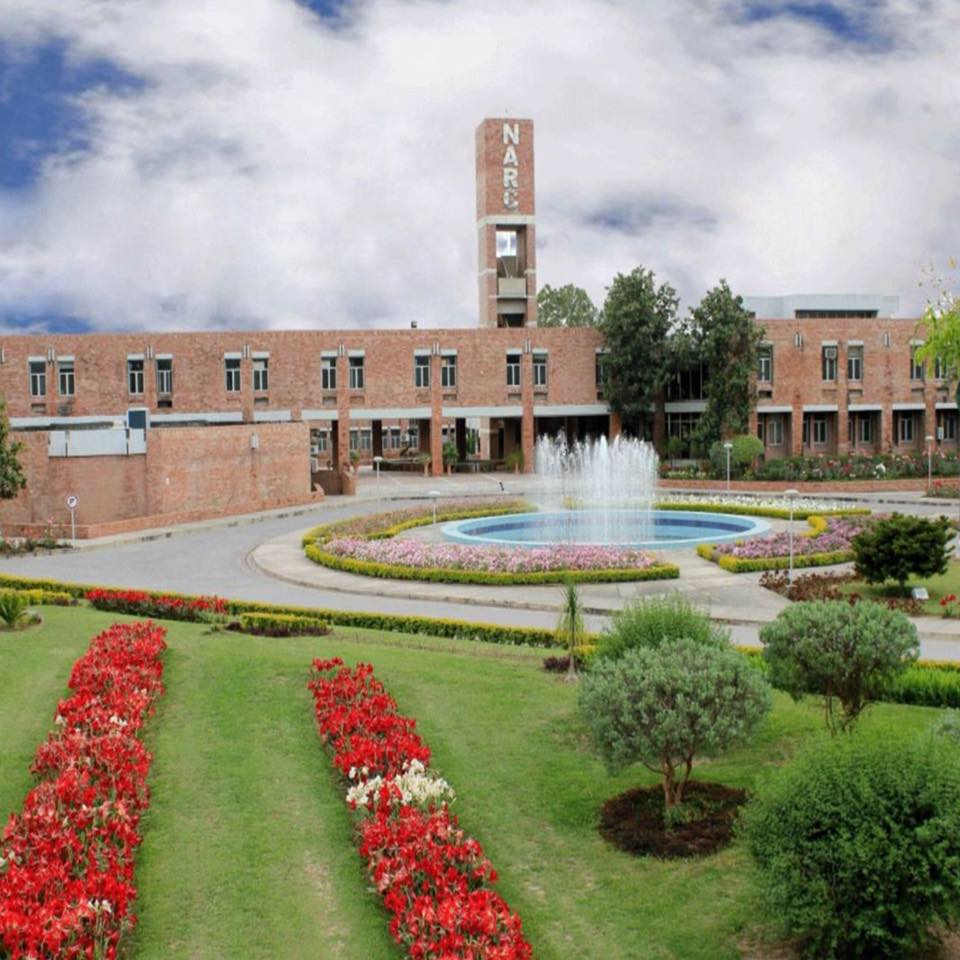 Pakistan Agriculture | Islamabad