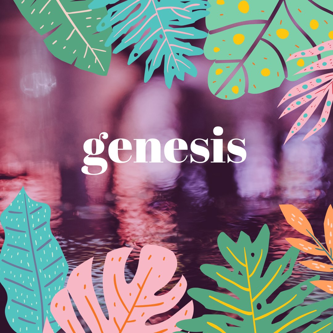 Hello genesis | Andra