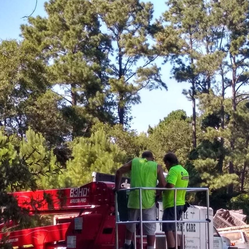 Leif's Tree Service