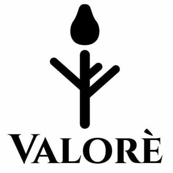 Valorè Strollers