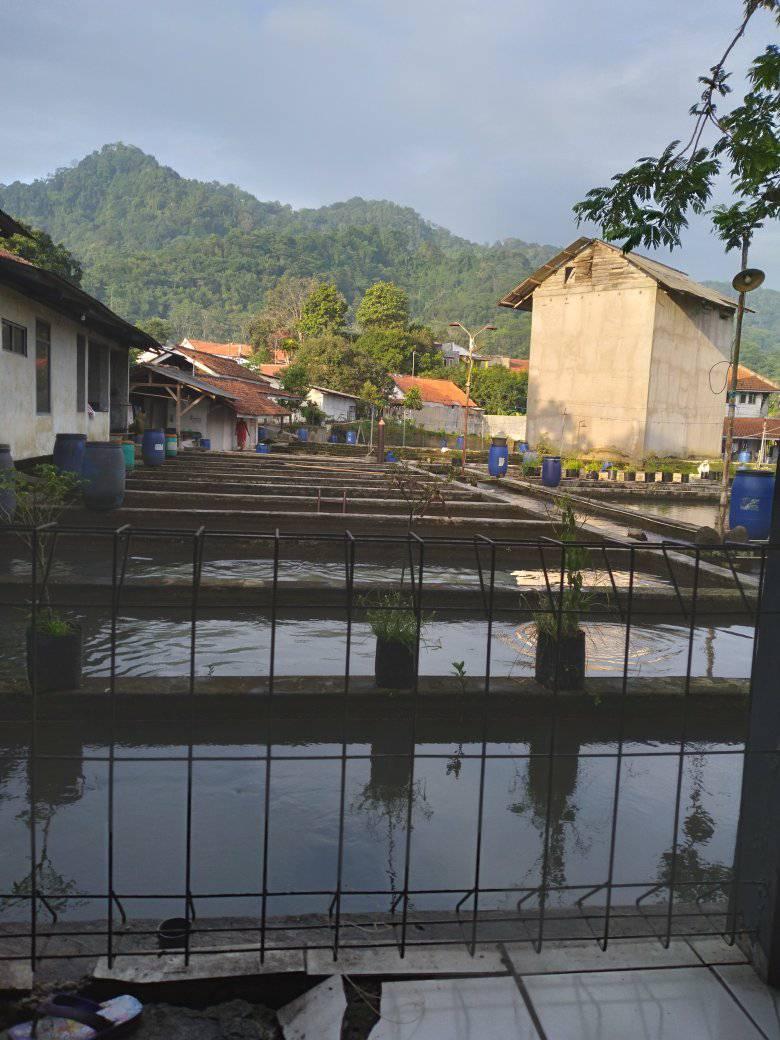 Pagi sobat ..gaskeun #ojegkayu #semangat | Misbah Udin