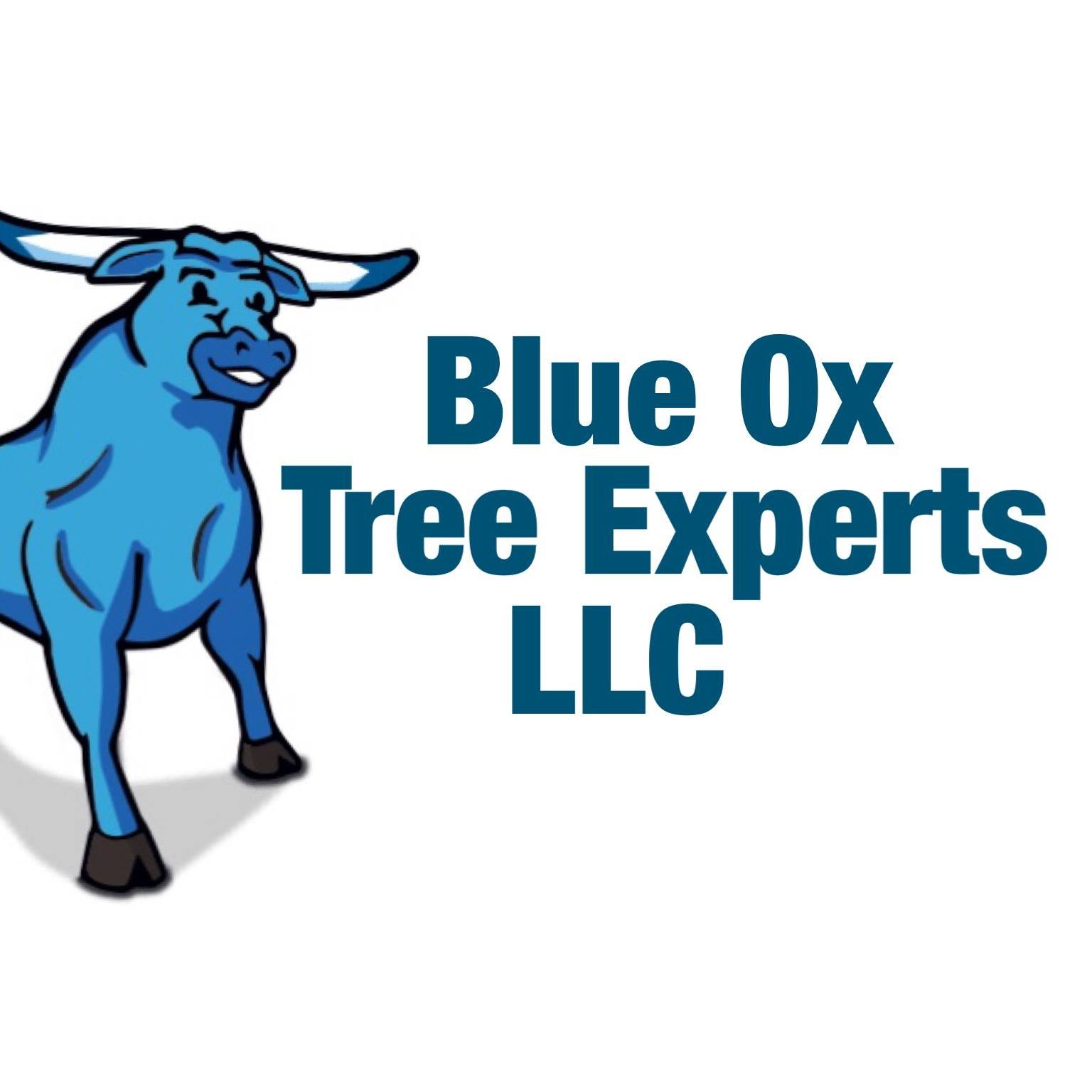Blue Ox Tree Experts | Saddle Brook NJ