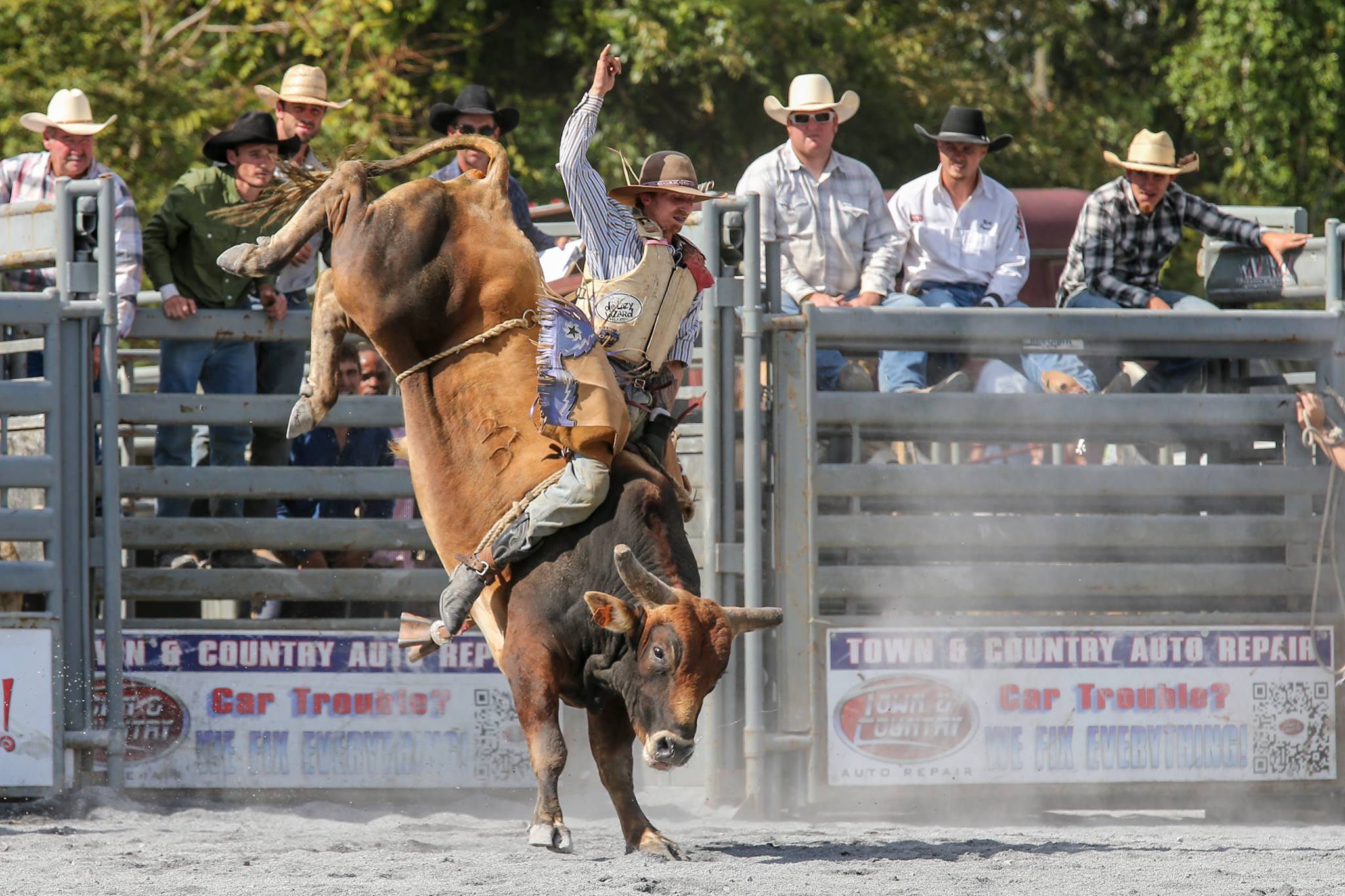 Bull Blast | Union Bridge MD