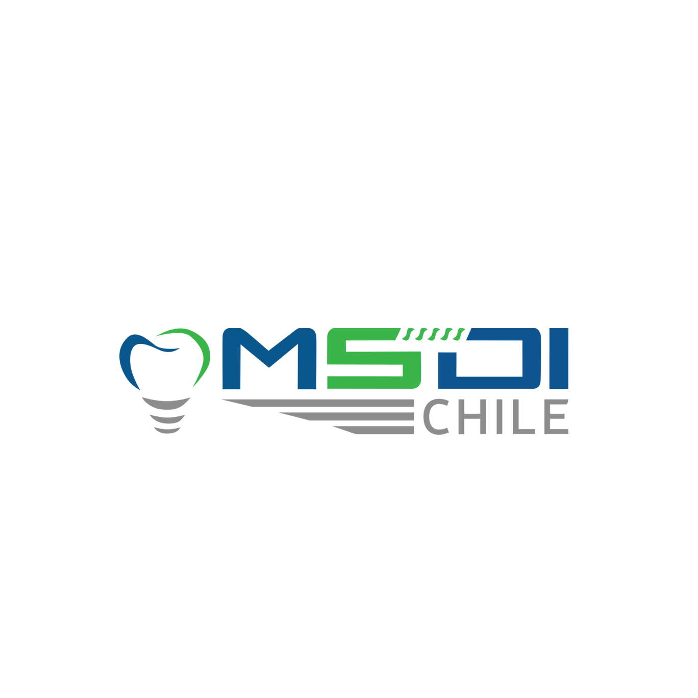 MSDI Chile | Concepción