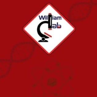 معمل وليم لاب للتحاليل الطبيه نجع حماديWilliam lab | Nag Hamadi
