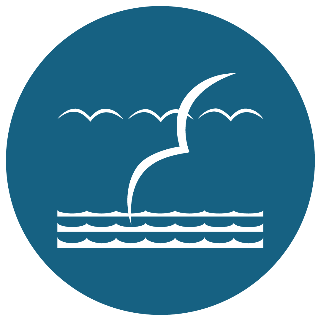 International Federation of Freinet Movements, FIMEM