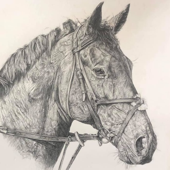 How To Draw The Windrush