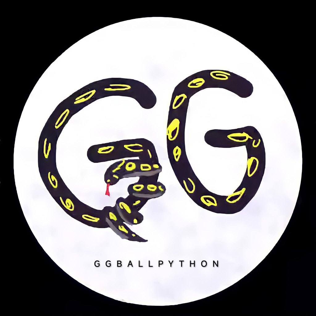 GG Ball Python