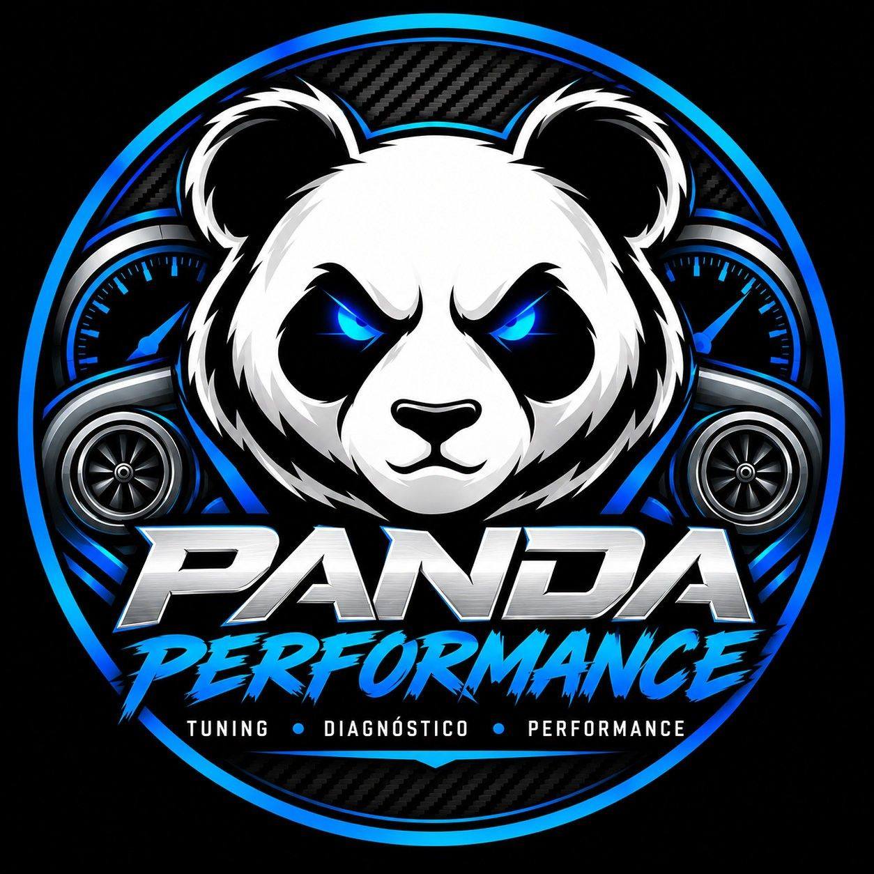 PANDA Performance | Cochabamba