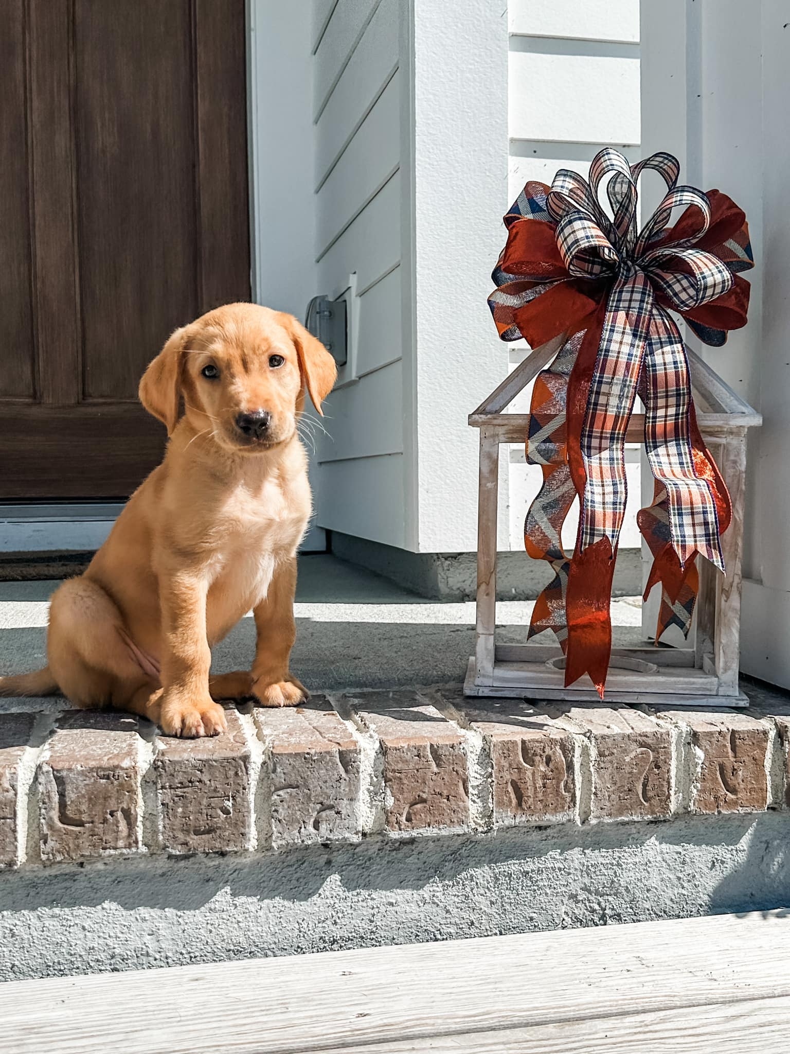 Debb's Designs | Summerville SC