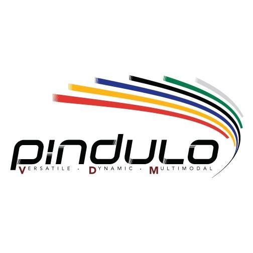 🚀 Reminder to apply for the Pindulo... - Pindulo VDM Pty Ltd | Facebook