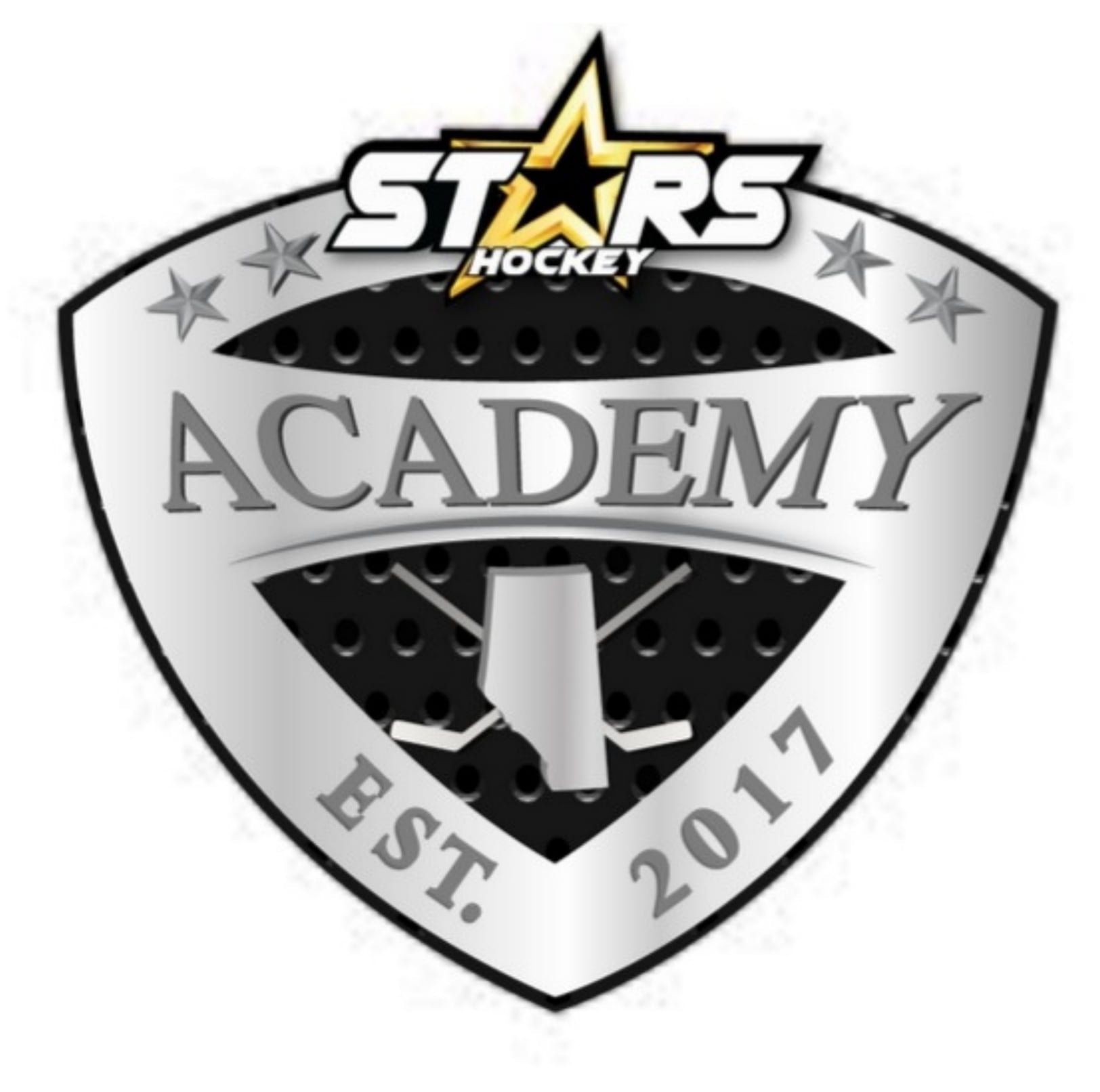 Stars - Sign Up for Stars Hockey Academy 2026 Summer Camps! Stars ...