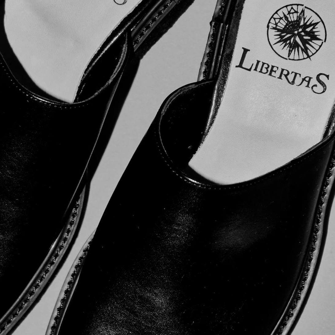 Libertas/リベルタス