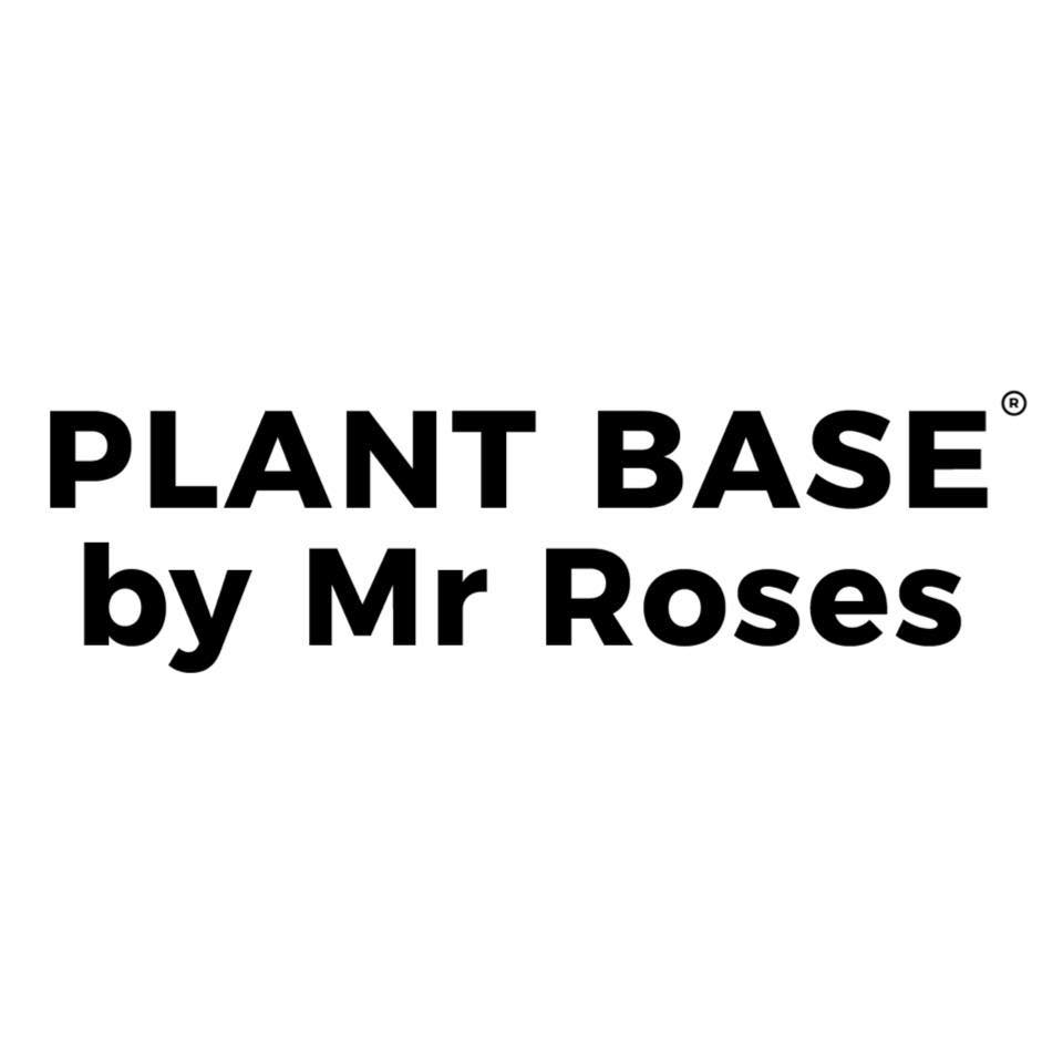 Plant Base By Mr Roses