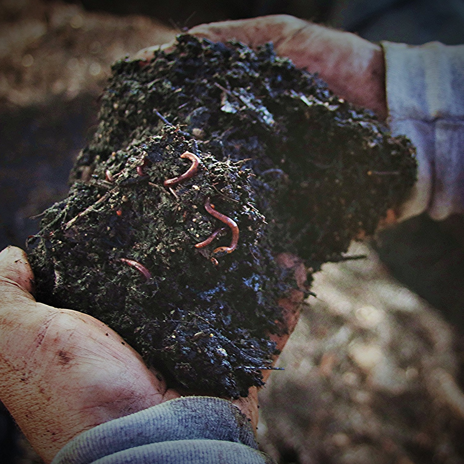 Earthworm Organics - Vermigrow Stable Earthworm Compost Tea | Thermal CA