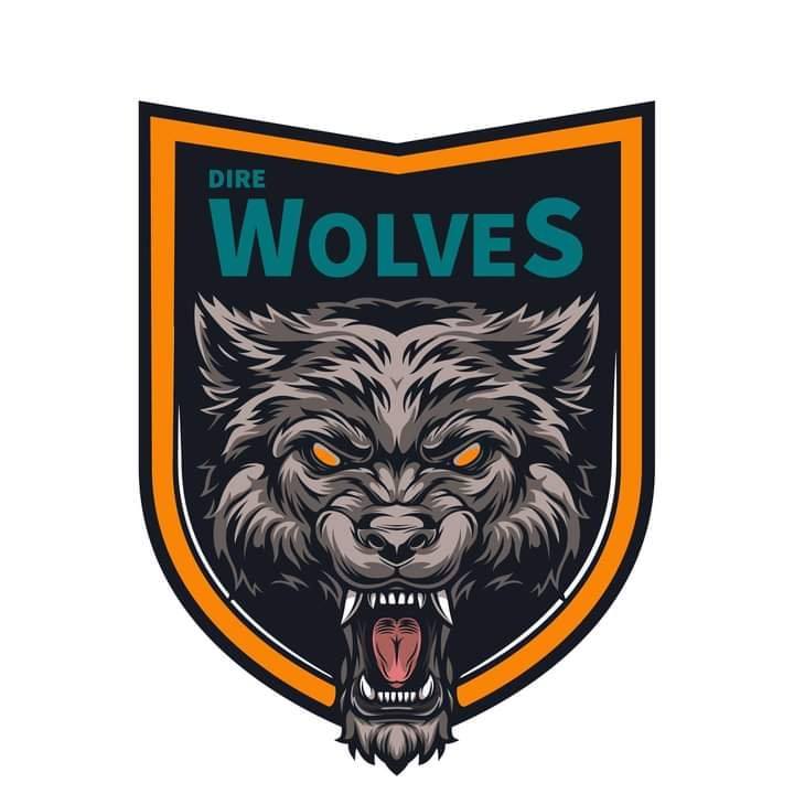 Dire Wolves Football Academy