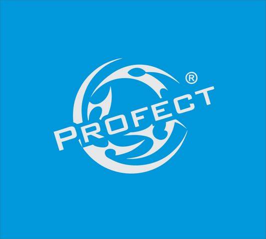 Profect - Indústria e comércio de calçados ltda. | Nova Serrana MG