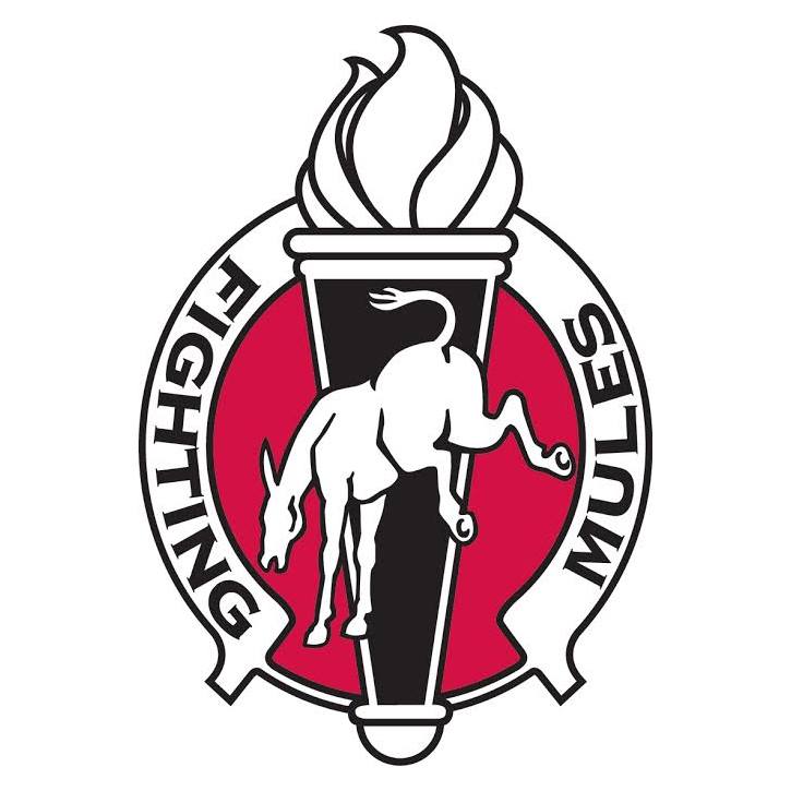 Fighting Mules Battalion, UCM Army ROTC | Warrensburg MO