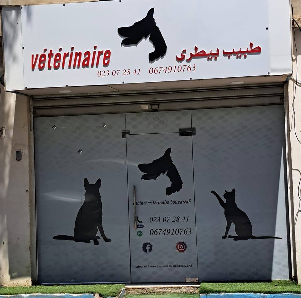 cabinet-v-t-rinaire-bouzareah-bouzar-ah