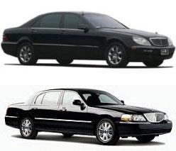 Delight Transportation