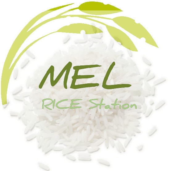 Mel RICE Station