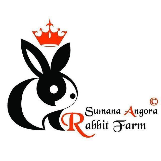 Sumna Angora Rabbit Breeding Farm | Kullu