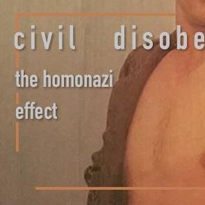 Snogging the Wall and Homonazis: Civil Disobedience ...