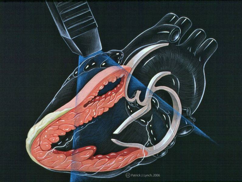 Dr Rathi's Heart and Ultrasound Centre | Noida