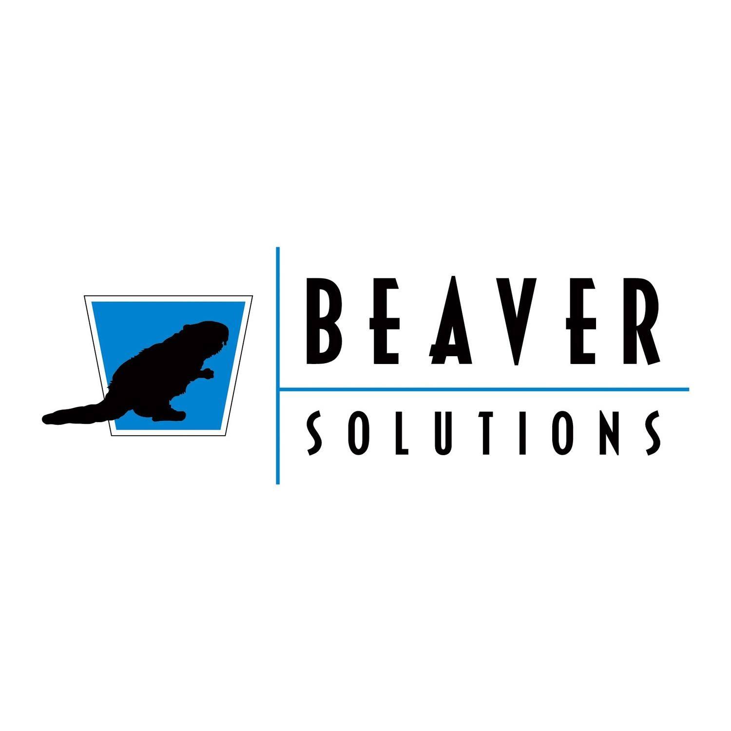Beaver Solutions LLC