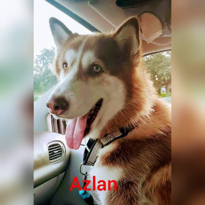 Azlan & Friends