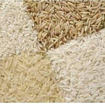 Rehan Rice Traders