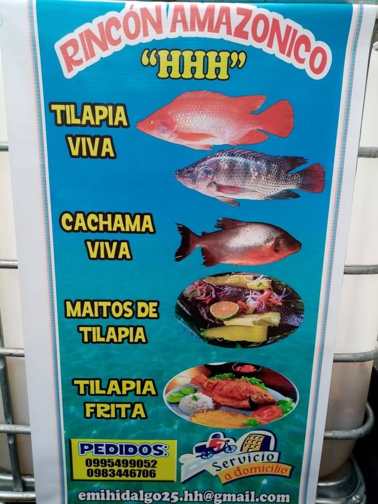 Rincón Amazónico | Quito