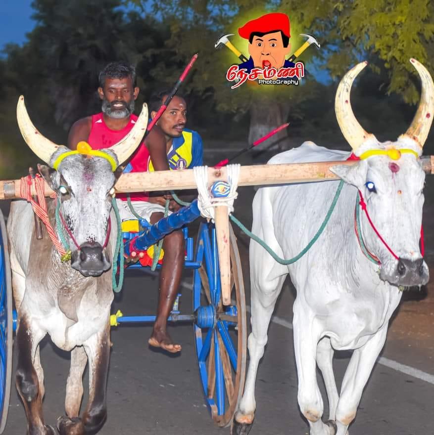 Rackla Race மதுரை மாவட்டம்