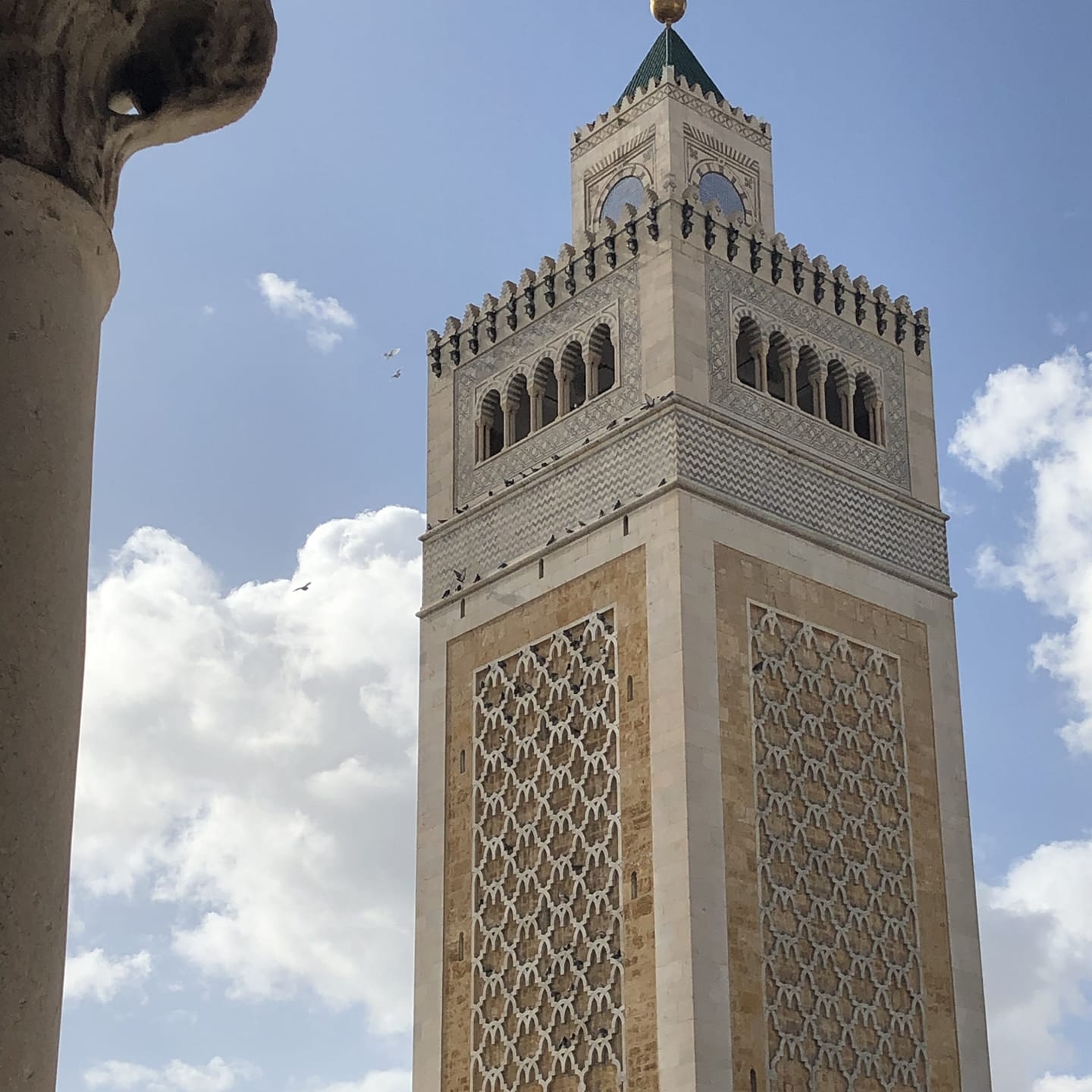 جامع عقبة بن نافع حي الزهور 3 مطرّش