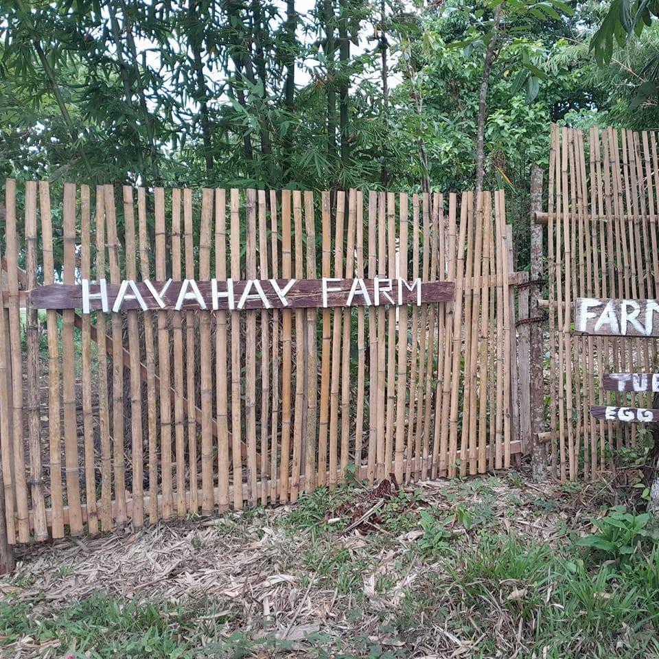 Hayahay Farm