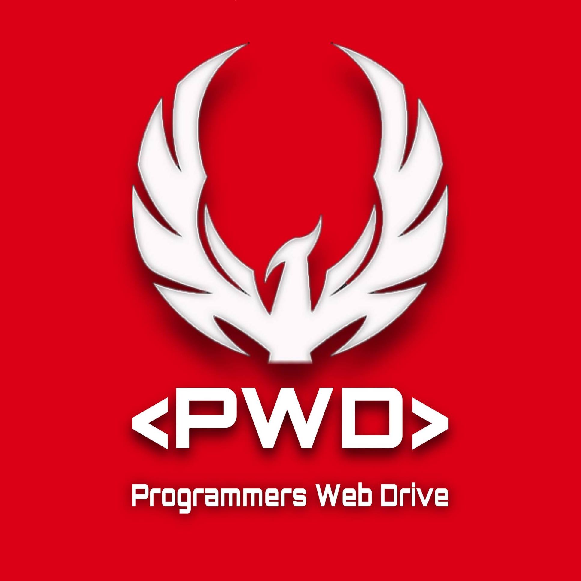 Programmers Web Drive