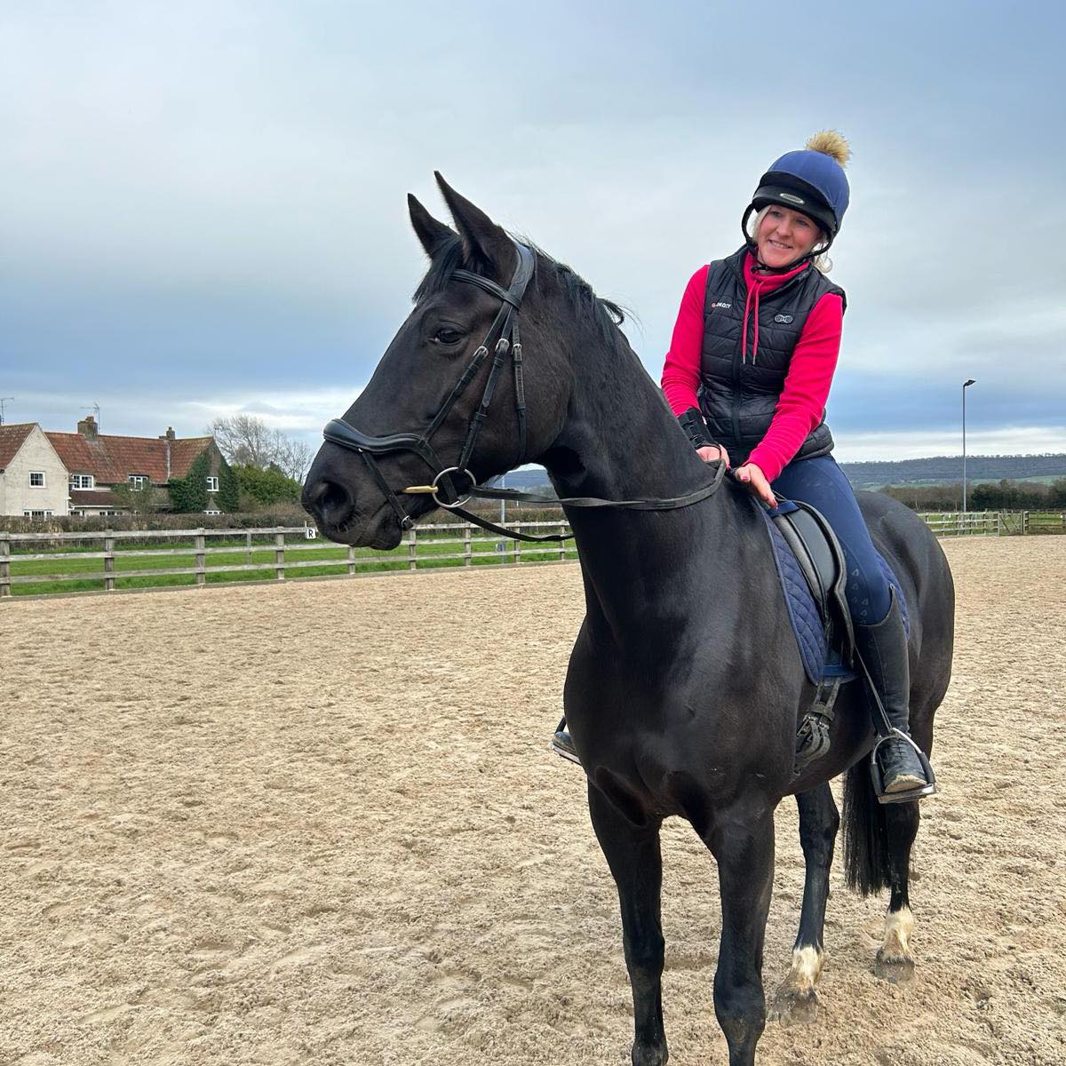 HRH Freelance Groom and Animal Care