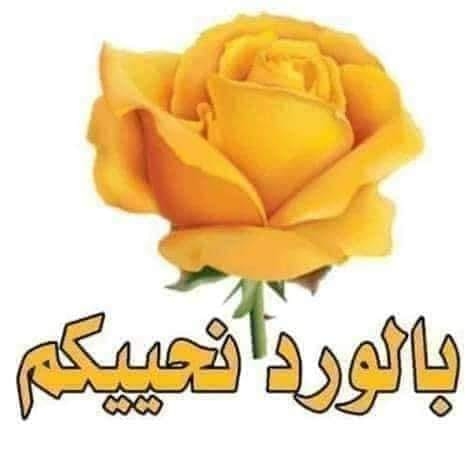 لطفا قل خيرا او اصمت