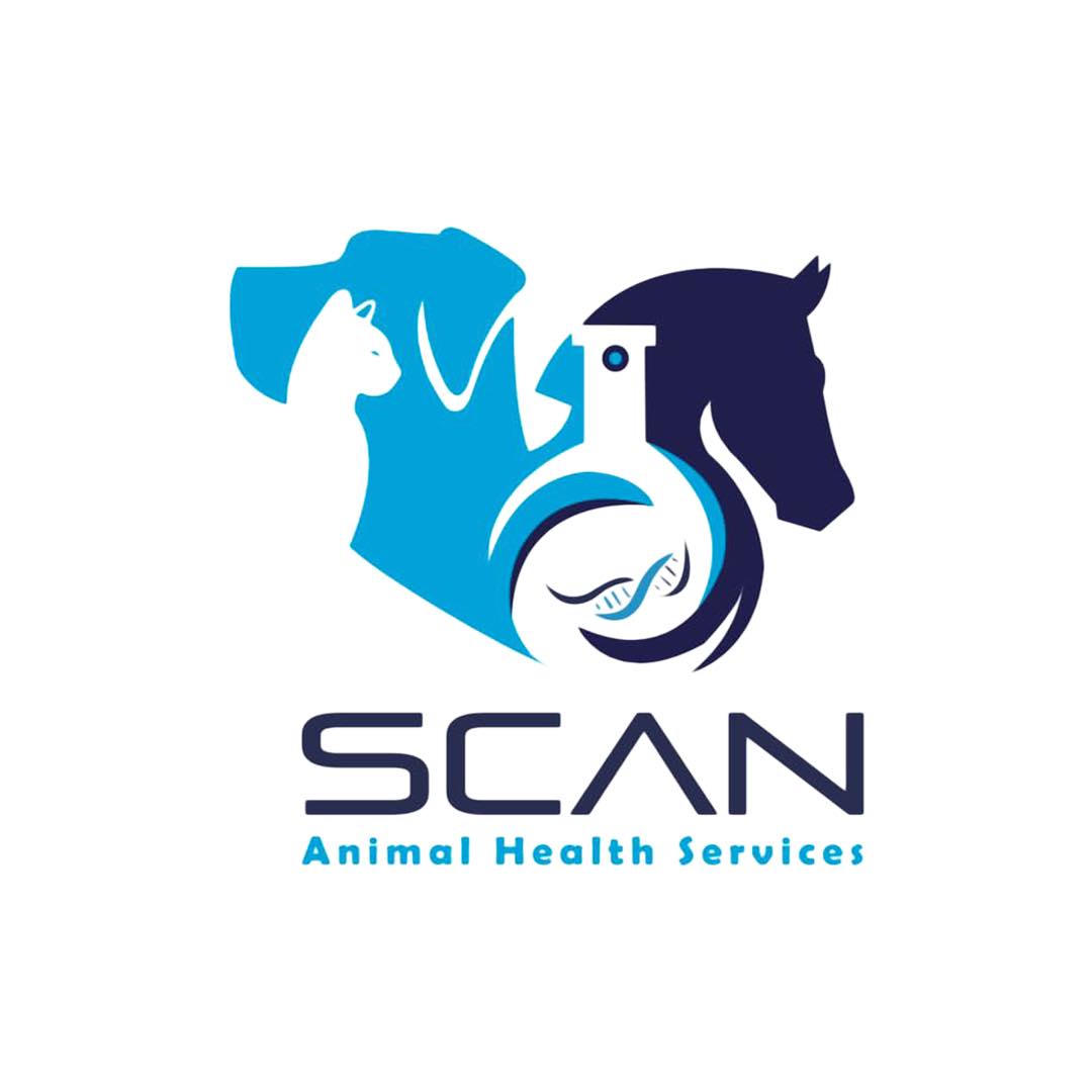 Scan vet lab | Giza