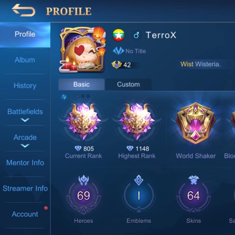 TerroX