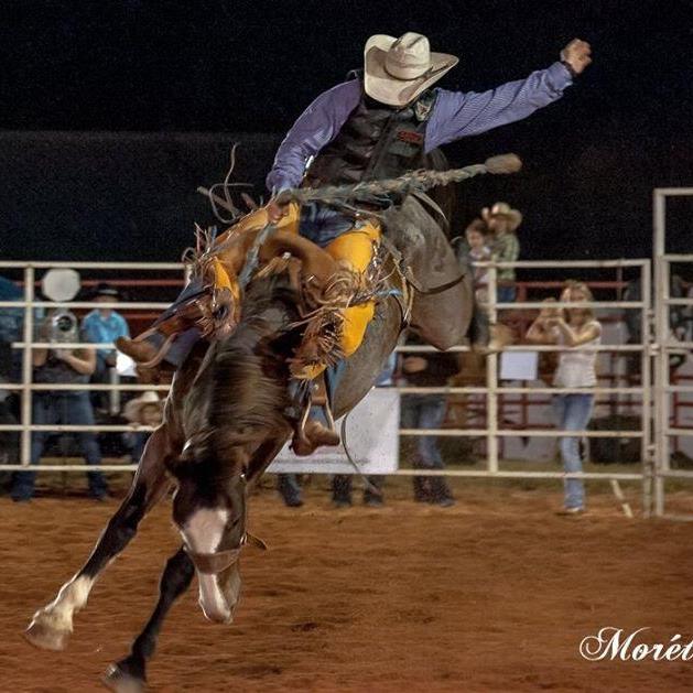 Douglas County Rodeo