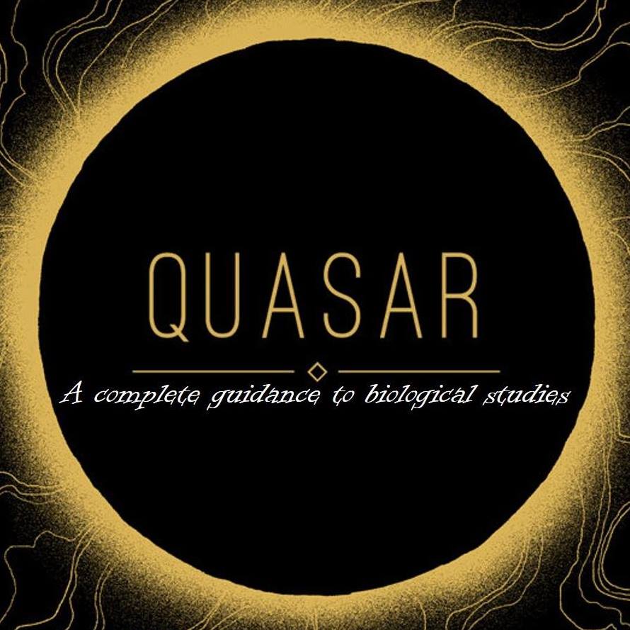 Quasar Tutorials