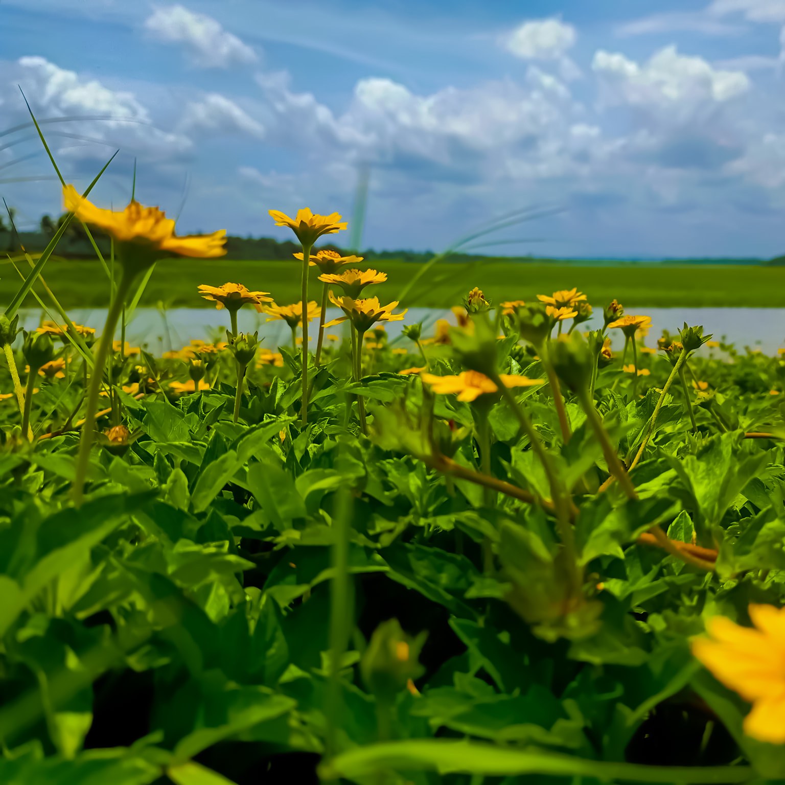 Devan's Photography