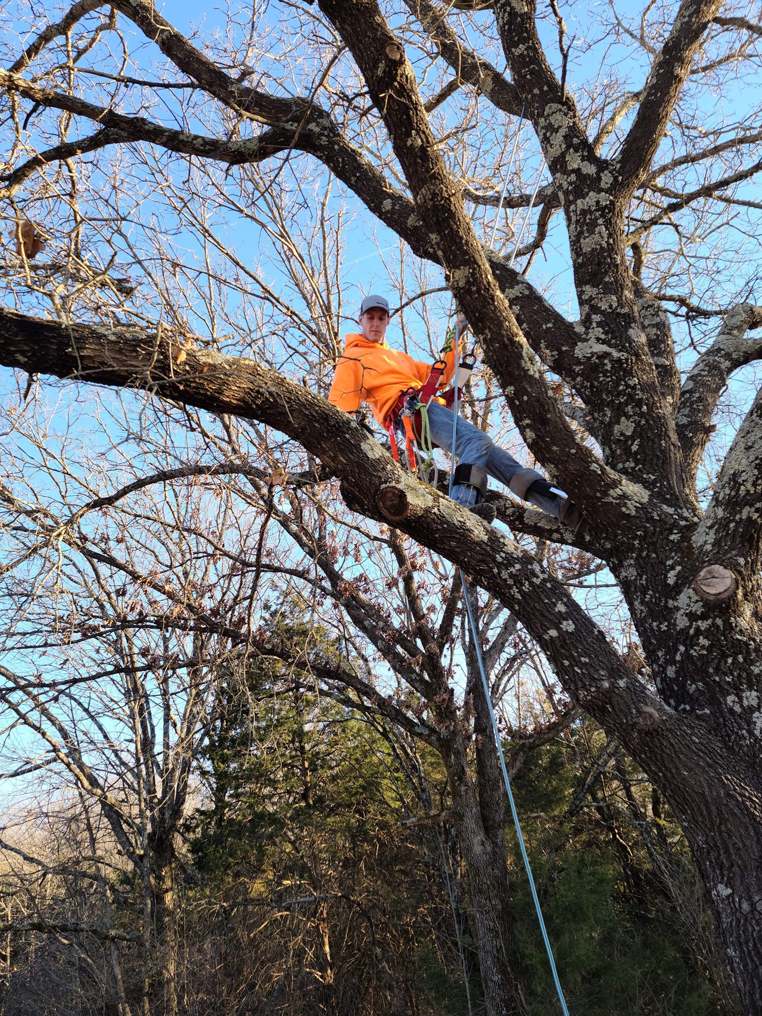 Ritzco Tree Care | Rolla MO