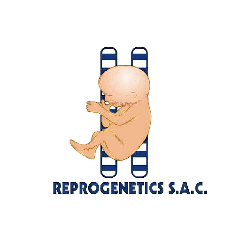 Reprogenetics - La Ecografía en el Embarazo La ecografía durante el ...