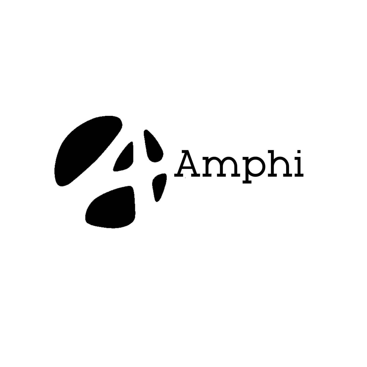 Amphi - አምፊ