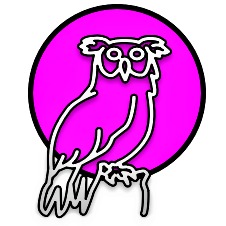 Smart Owls - Institute of Mathematical and Computational Sciences